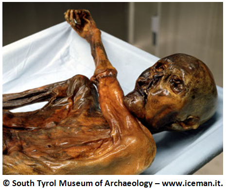 otzi the iceman